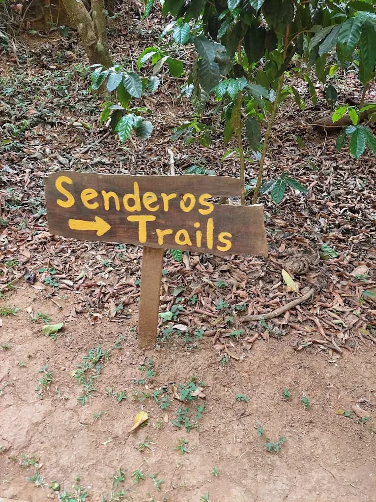 Jardines y Senderos - Cartel
