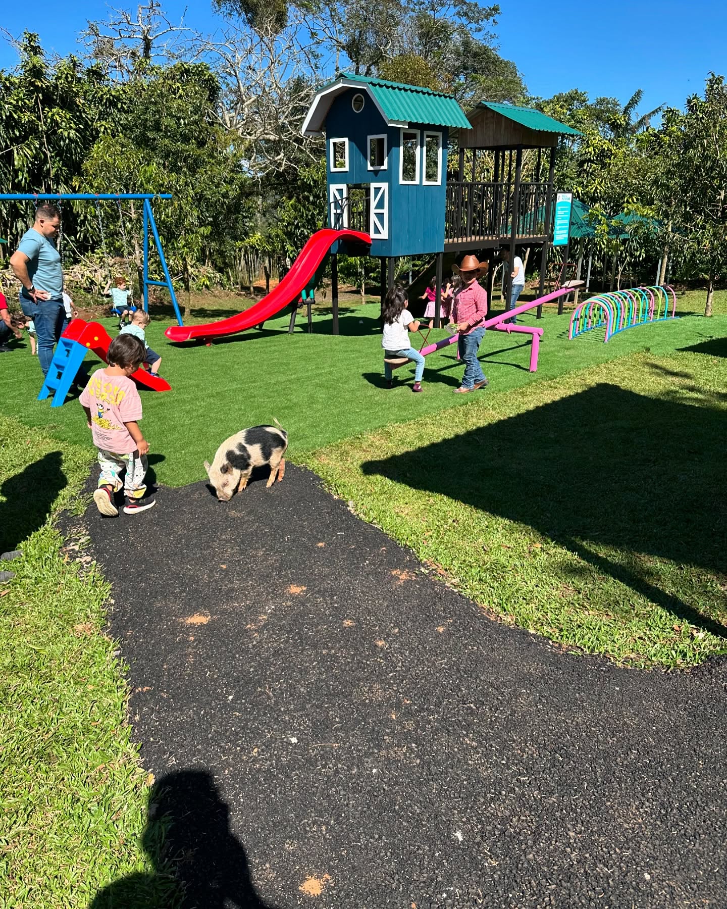 Servicios del Área de Picnic