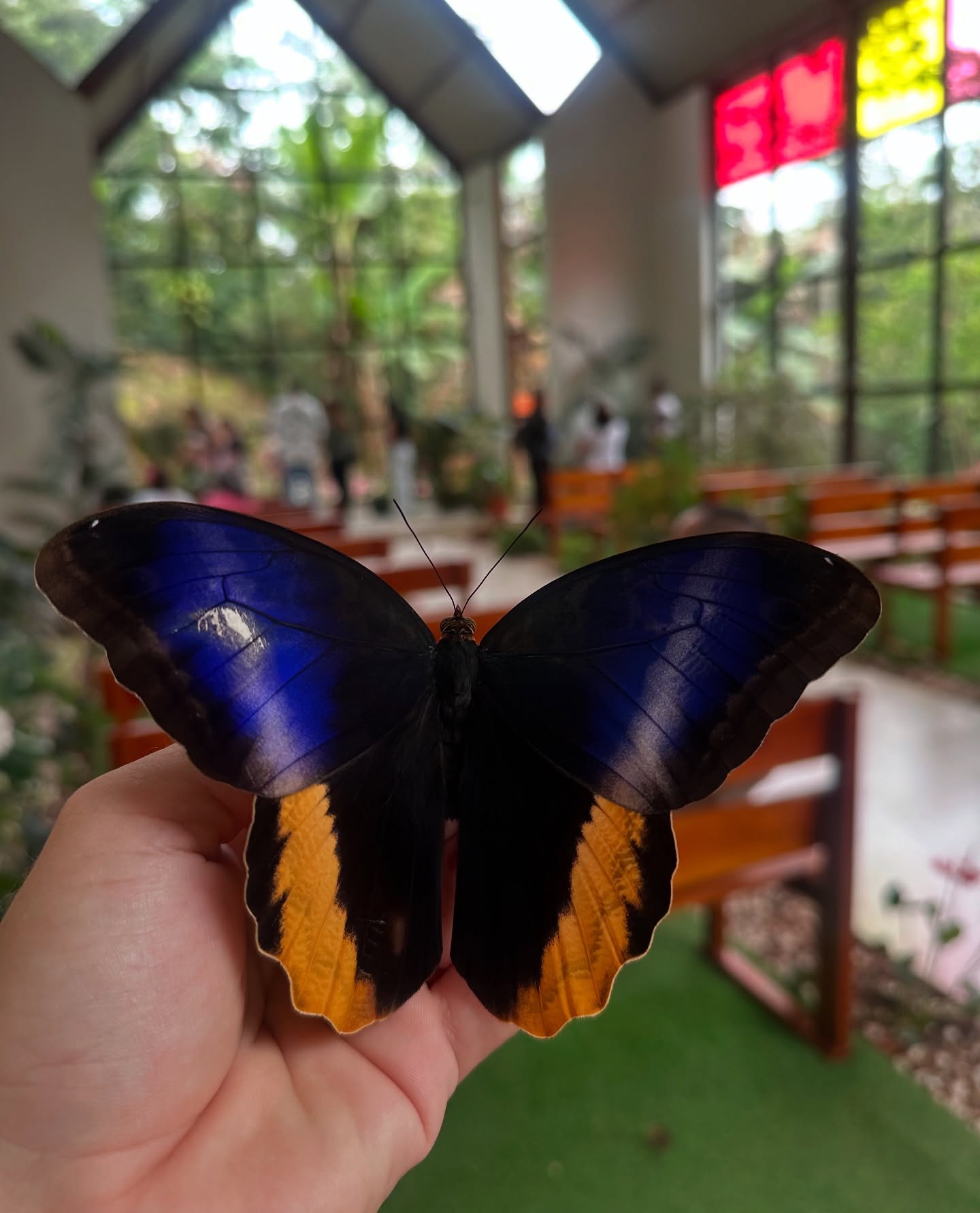 Experiencias de Naturaleza y Cultura