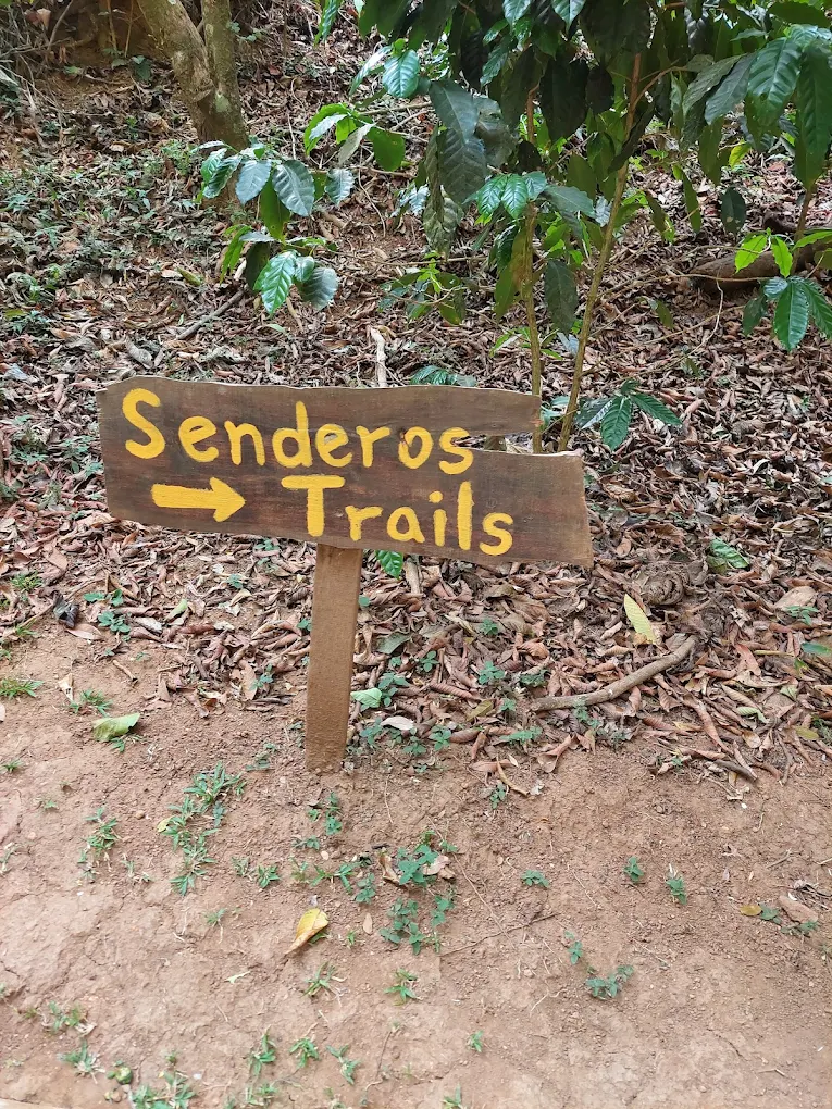 Jardines y Senderos - Cartel