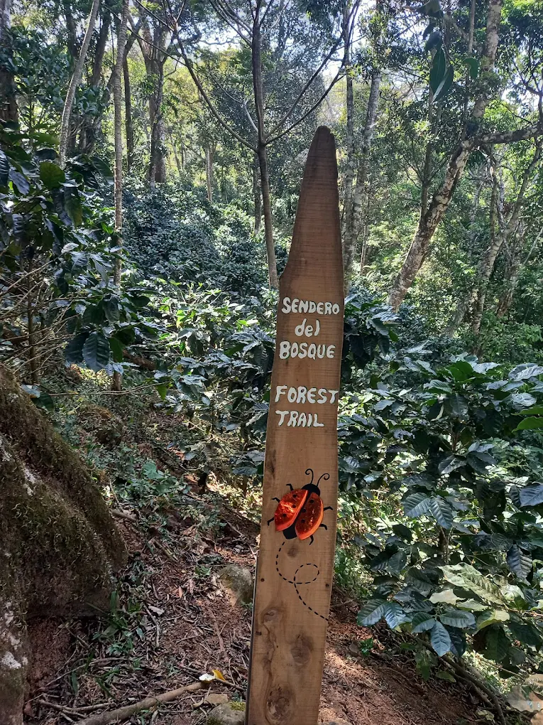 Naturaleza en Senderos
