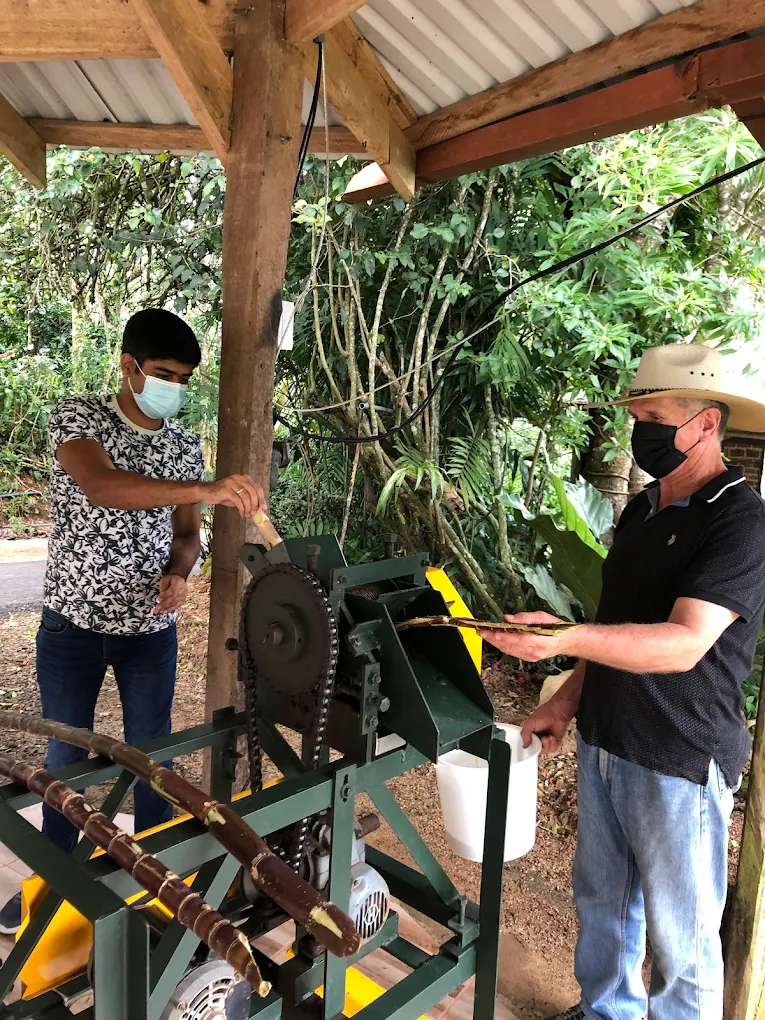 Proceso de Elaboración